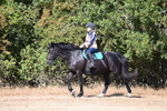 WJ6_7341