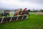 151125-Race 5-Kikijo-3932