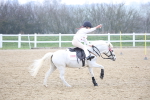 SBM_003366