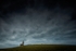 RLP_8903-149