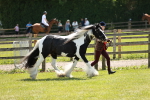 SBM_05499