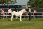 SBM_00483