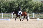 SBM_001088