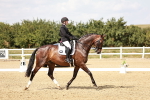 SBM_004213