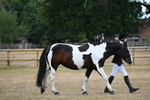 WJ6_7827