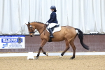SBM_000747