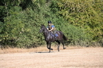 WJ6_6770
