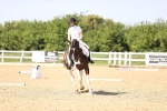 SBM_010132