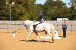 SBM_18533