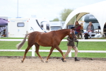 SBM_05839