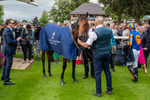 210824-Race 2-The Lion In Winter-4934