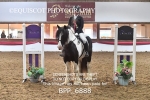 BPP_6888