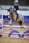 Class 26 - WB Equiline Star Championship Qualifier 1.10m portfolio