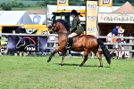 SBM_08015