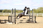 SBM_001886
