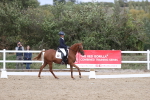 SBM_003804