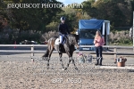 BPP_9630