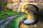 Bridge 24 (Snape's), Macclesfield Canal (2)