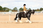 SBM_15655
