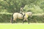 SBM_74160