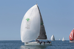 140621 MINT JULEP IMG_6962