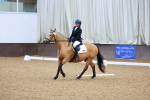 SBM_001304