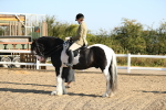 SBM_01165