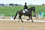 Arena A DR15.00 to 16.00 portfolio