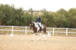 SBM_004605