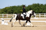 SBM_011571