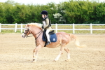 SBM_006358