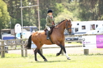 SBM_15245
