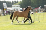 SBM_02082