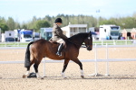 SBM_16791