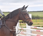 24th JUNE 2025 - TUES EVE CAT 1 Senior British Showjumping - Muirmill EC portfolio
