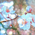 first blossom