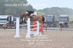 BPP_0233