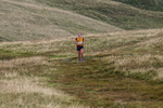 Sedbergh Hills-621