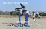 BPP_7457