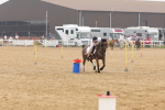 SBM_004329