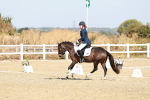 SBM_017053