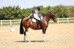 SBM_008582