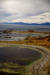 KAIKURA BEACH
