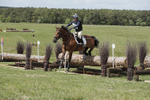BVHT 140517  IXC -502
