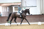 SBM_009233