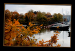 October 09 - 6