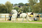 SBM_72052