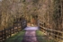 Along the Cycle Path