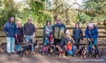 Six Entlebuchers at Coombe Abbey Park