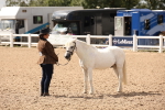 SBM_04643